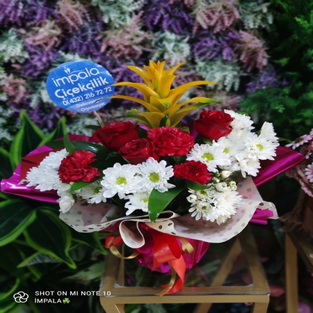 Saksı Çiçeği Guzmania+Kesme Çiçekler